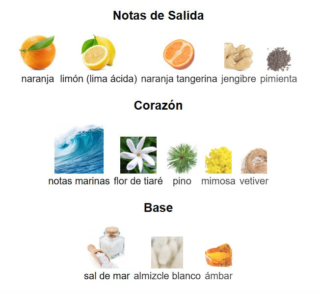 MANCERA FRENCH RIVIERA