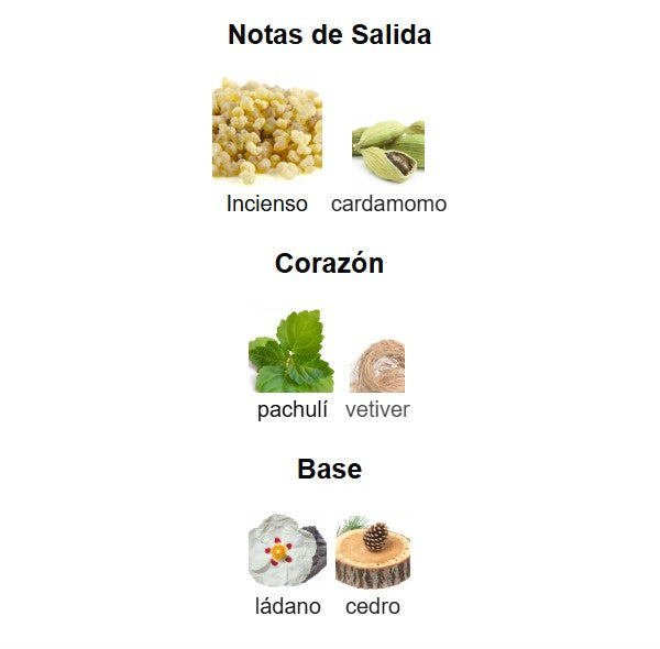 HUGO BOSS BOTTLED ELIXIR