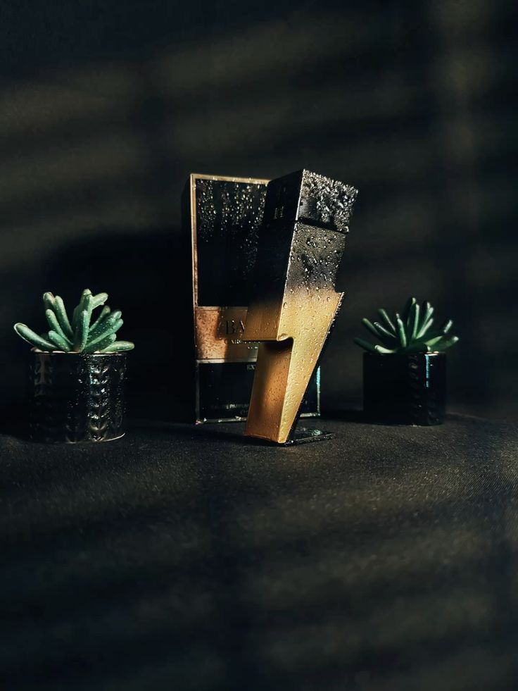 CAROLINA HERRERA BAD BOY EXTREME