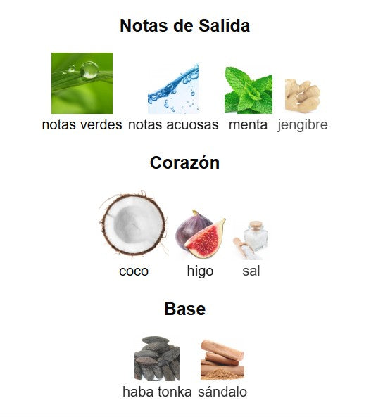 Jean Paul Gaultier Paradise Garden