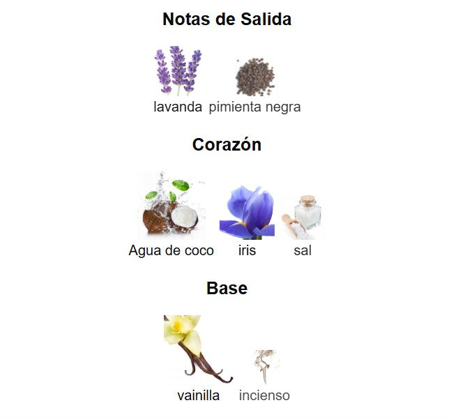 LATTAFA ASAD ZANZIBAR