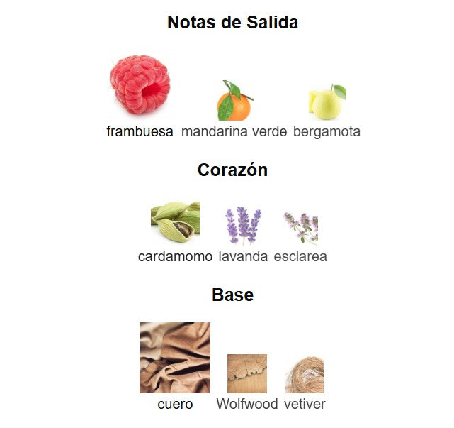 AZZARO FOREVER WANTED ELIXIR