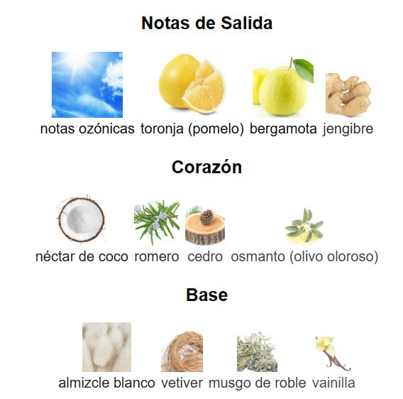 DOLCE & GABBANA LIGHT BLUE SUN