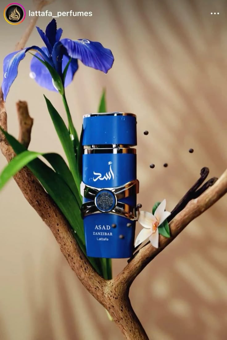 LATTAFA ASAD ZANZIBAR